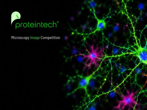 Proteintech Microscopy Image Competition 2026