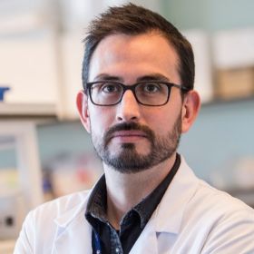 Professor Diego Gomez-Nicola Professor Diego Gomez-Nicola Profile Picture