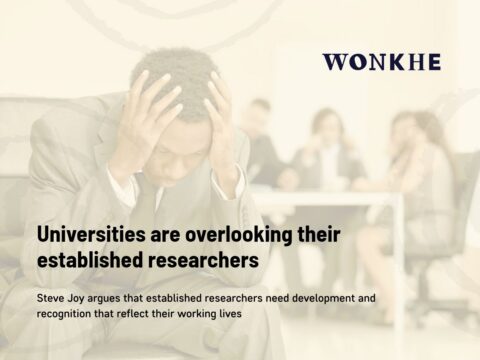 Universities are overlooking their established researchers